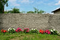 DSC_0097 (2)